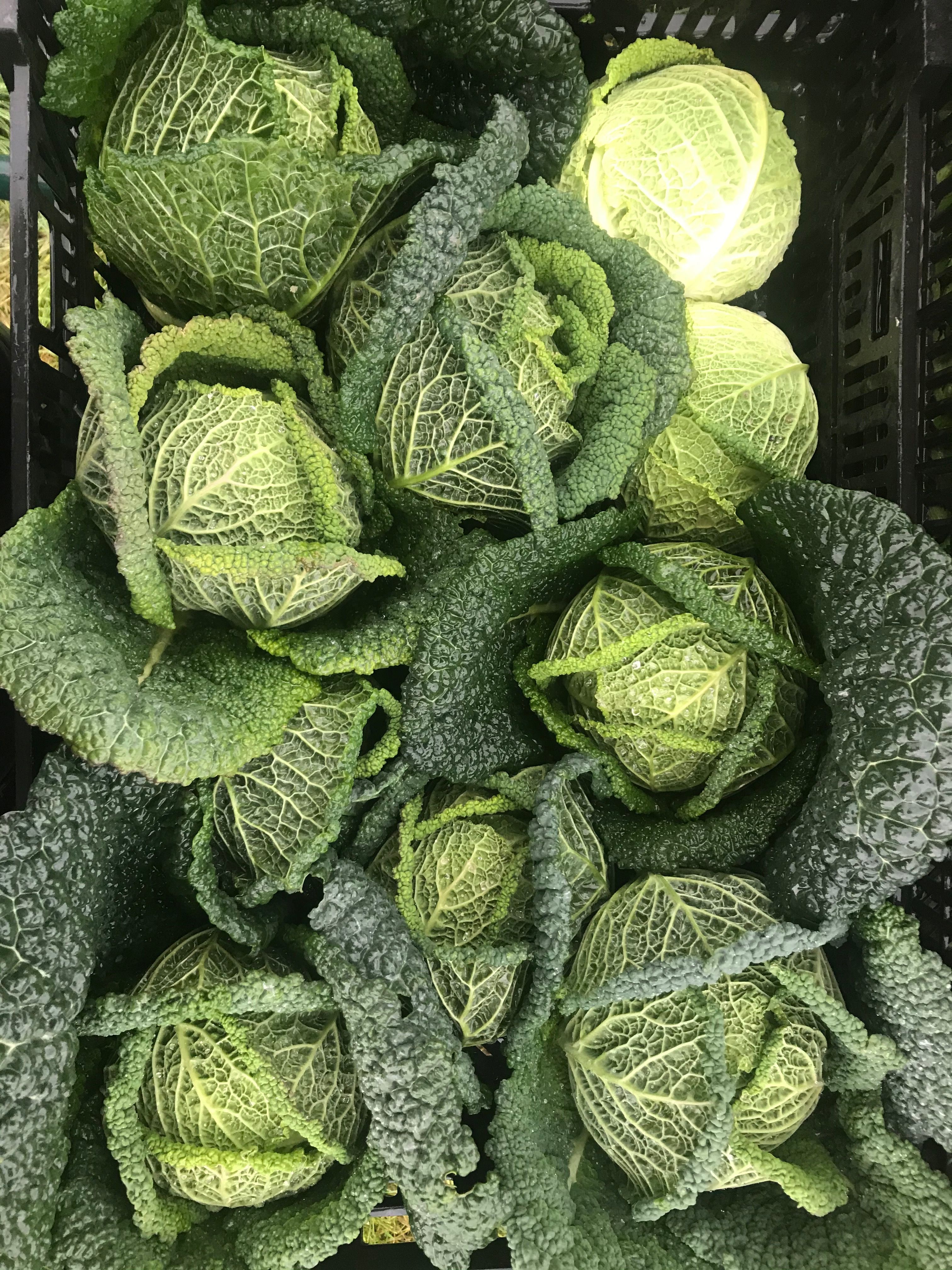 Odoo afbeelding en tekstblok